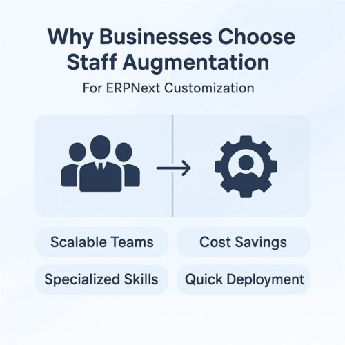 staff augmentation for ERPNext customization